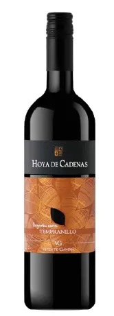 Vicente Gandia Hoya de Cadenas Organic Tempranillo