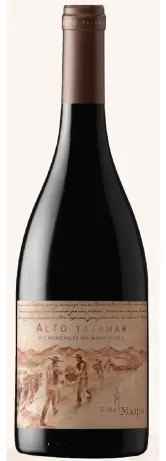 Vina Maipo Alto Tajamar